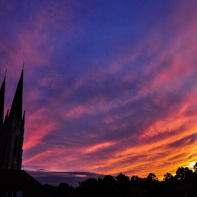 bbweb_DSC_7069_MF