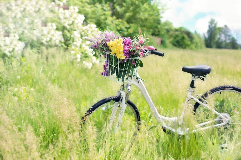 Symbolbild Fahrrad