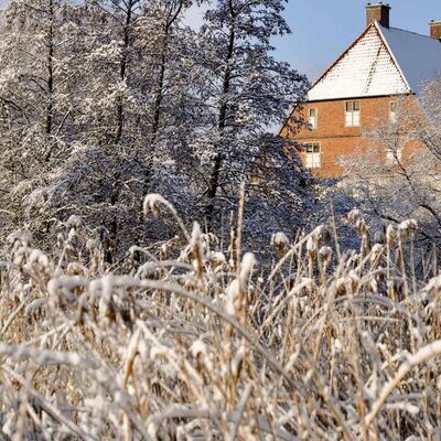 Winter Kolvenburg