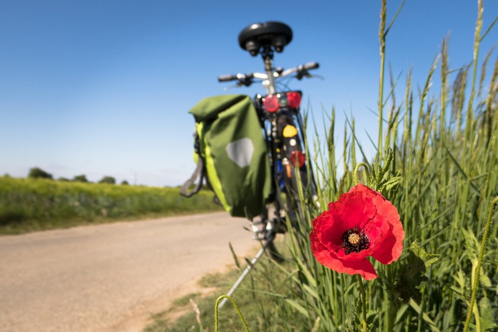 Symbolbild Radtour Feld