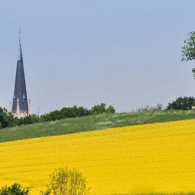 Möllerings Hügel