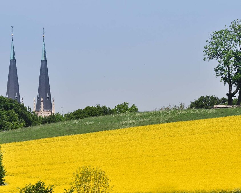 Möllerings Hügel